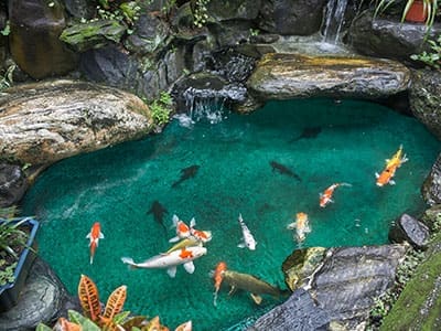 Ponds, pondless water features, fountainscapes, and high-end aquatic landscaping for Massachusetts and beyond